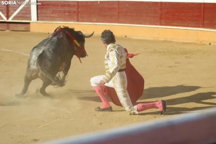 Una imagen de los toros de este Agés 2025. /Santos Gómez