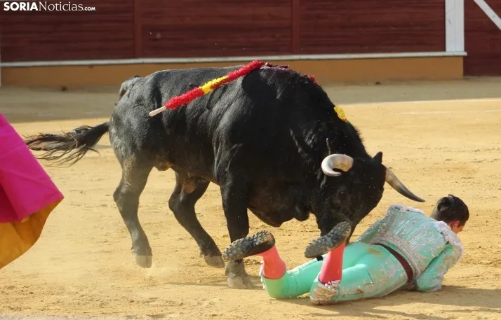 Una imagen de los toros de este Agés 2025. /Santos Gómez