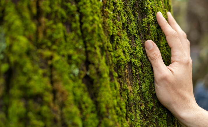 Castilla y León refuerza la formación en sostenibilidad con un nuevo ciclo de FP en Educación y Control Ambiental
