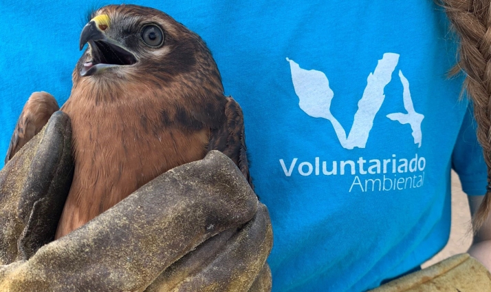 Abre la convocatoria para participar en el voluntariado ambiental de los centros de recuperación y recepción de animales silvestres en Castilla y León