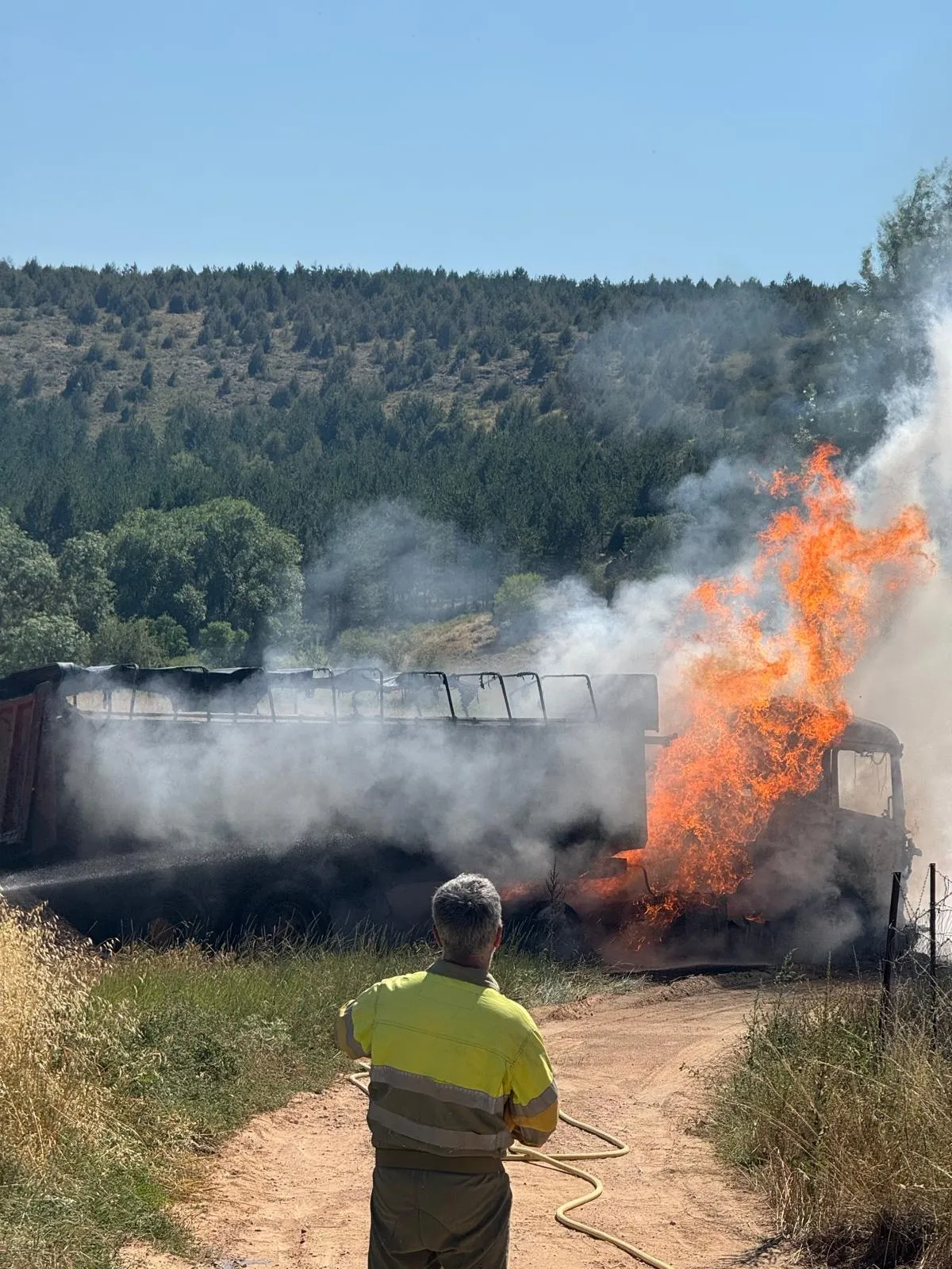Foto 2 - Arde un cami&oacute;n en Bayubas de Abajo