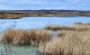 Foto 1 - El embalse de Monteagudo mantiene sus reservas de agua