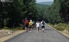 Un grupo de paseantes por los Pinares sorianos. /SN