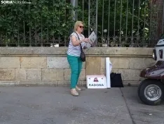 Una imagen de la manifestación de este viernes. /PC
