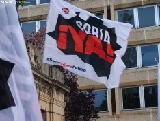 Una imagen de la manifestación de este viernes. /PC