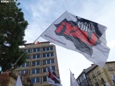 Una imagen de la manifestación de este viernes. /PC