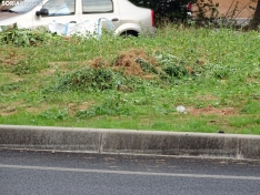 Una imagen de la rotonda frente a la estación de autobuses este jueves. /PC