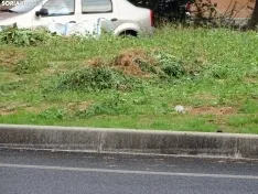 Una imagen de la rotonda frente a la estación de autobuses este jueves. /PC