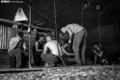 Foto 34 - Recorrer m&aacute;s de 9.700 kil&oacute;metros para esquilar 1.800 ovejas al d&iacute;a en Espa&ntilde;a