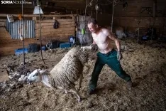 Foto 24 - Recorrer m&aacute;s de 9.700 kil&oacute;metros para esquilar 1.800 ovejas al d&iacute;a en Espa&ntilde;a