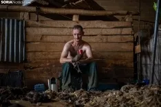 Foto 15 - Recorrer m&aacute;s de 9.700 kil&oacute;metros para esquilar 1.800 ovejas al d&iacute;a en Espa&ntilde;a