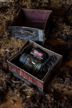 Foto 6 - Recorrer más de 9.700 kilómetros para esquilar 1.800 ovejas al día en España