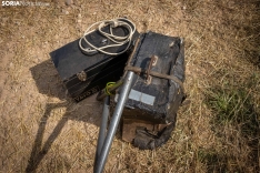 Foto 5 - Recorrer más de 9.700 kilómetros para esquilar 1.800 ovejas al día en España