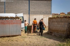 Foto 3 - Recorrer más de 9.700 kilómetros para esquilar 1.800 ovejas al día en España