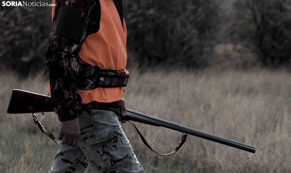 Armas de fuego en Soria: Toca a una por cada siete habitantes