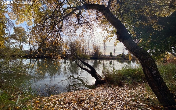 Inversión de 87.000€ en las riberas del Duero de San Esteban
