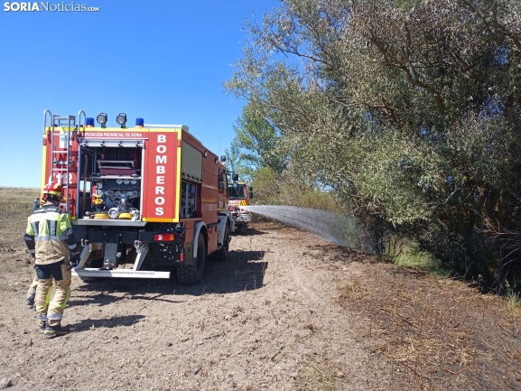 Controlado un fuego en Coscurita