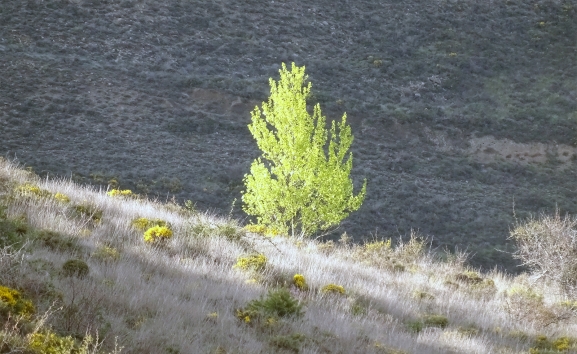 El verano va recuperando las temperaturas diurnas este sábado, 26 de julio