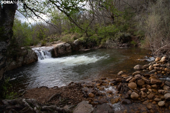Cinco piscinas naturales para disfrutar de un refrescante verano