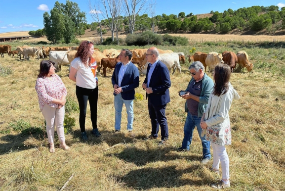 Castilla y León impulsa el relevo generacional en el campo con 4,9 M€ en ayudas para la sucesión de explotaciones agrarias