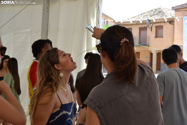 Gallofa de Morón de Almazán