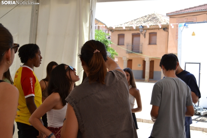 Gallofa de Morón de Almazán