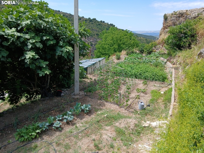 Un paseo por el encantador pueblo de San Felices de Soria, en fotos