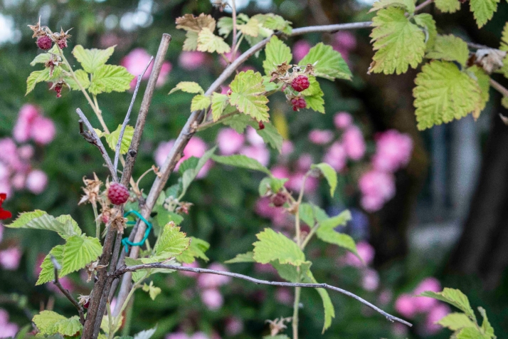 &iquest;Reconoces esta calle de Soria en 10 im&aacute;genes? (III)