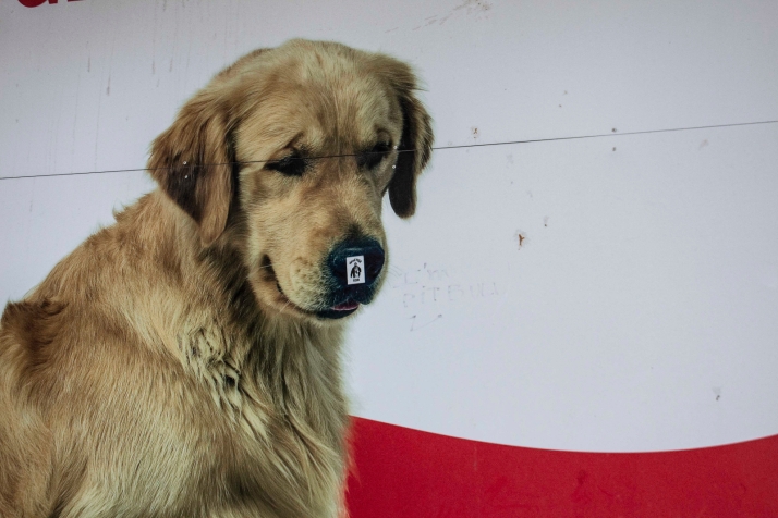 &iquest;Reconoces esta calle de Soria en 10 im&aacute;genes? (IV)
