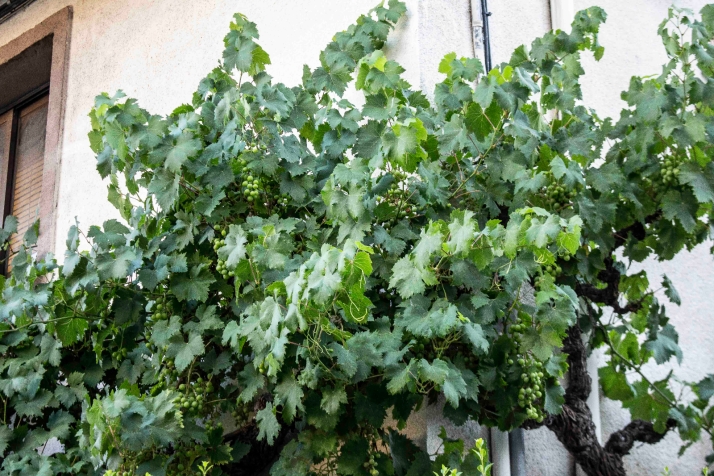 &iquest;Reconoces esta calle de Soria en 10 im&aacute;genes? (IV)