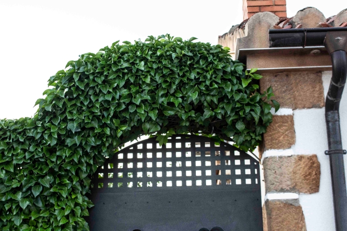 &iquest;Reconoces esta calle de Soria en 10 im&aacute;genes? (III)