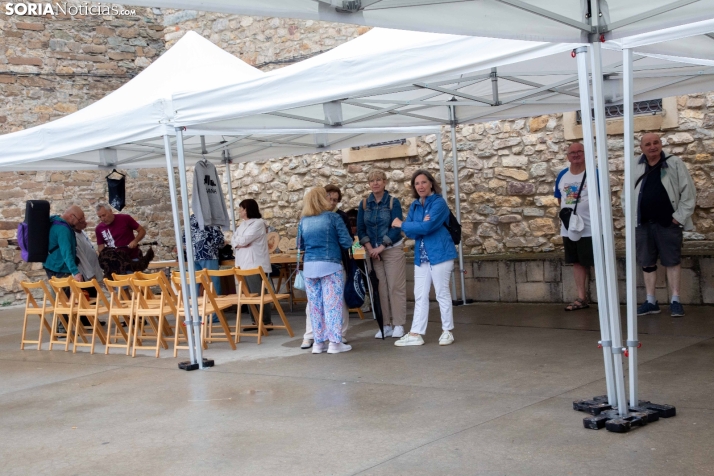 Desfile de Músicos en Magaña