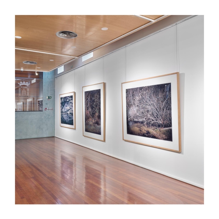 Congreso de Antonio Machado y agenda cultural de la FDS en Soria