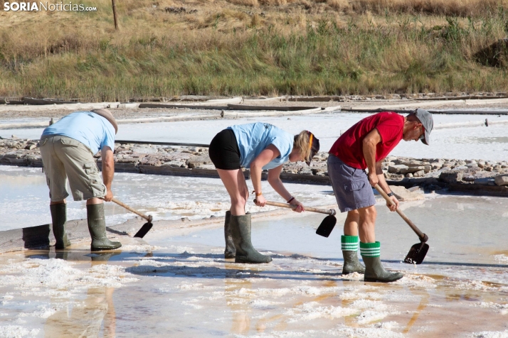 Jornada de la Sal en Salinas de Medinaceli 2025