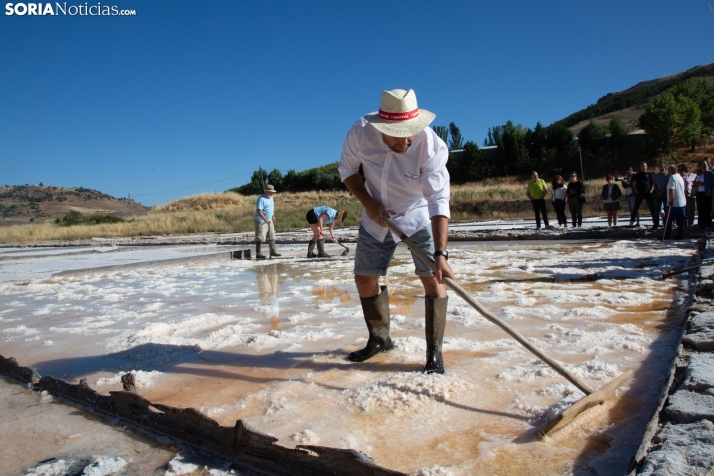 Jornada de la Sal en Salinas de Medinaceli 2025