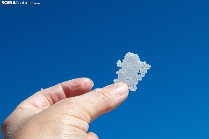 Jornada de la Sal en Salinas de Medinaceli 2025