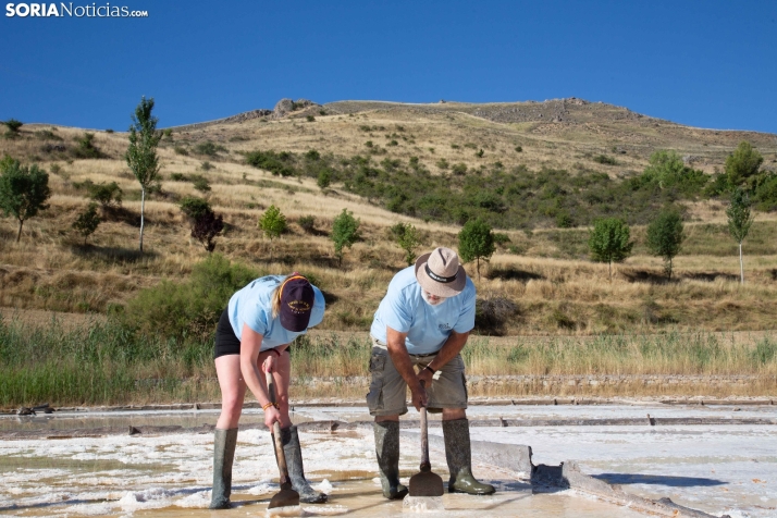 Jornada de la Sal en Salinas de Medinaceli 2025