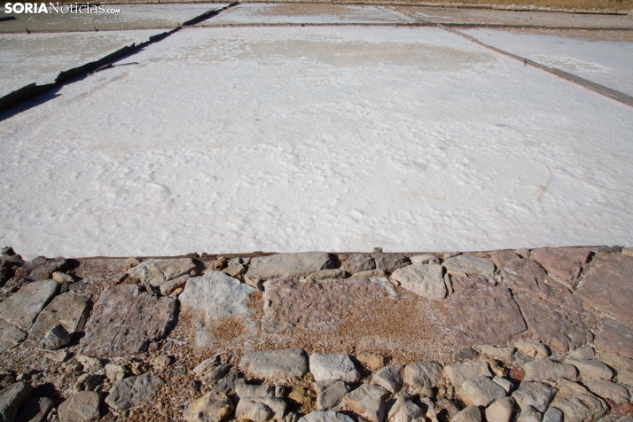 Jornada de la Sal en Salinas de Medinaceli 2025