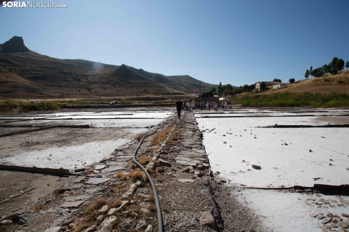 Jornada de la Sal en Salinas de Medinaceli 2025