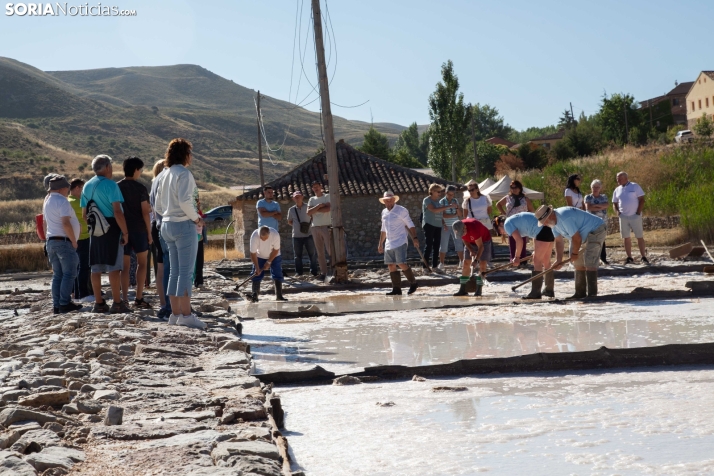 Jornada de la Sal en Salinas de Medinaceli 2025