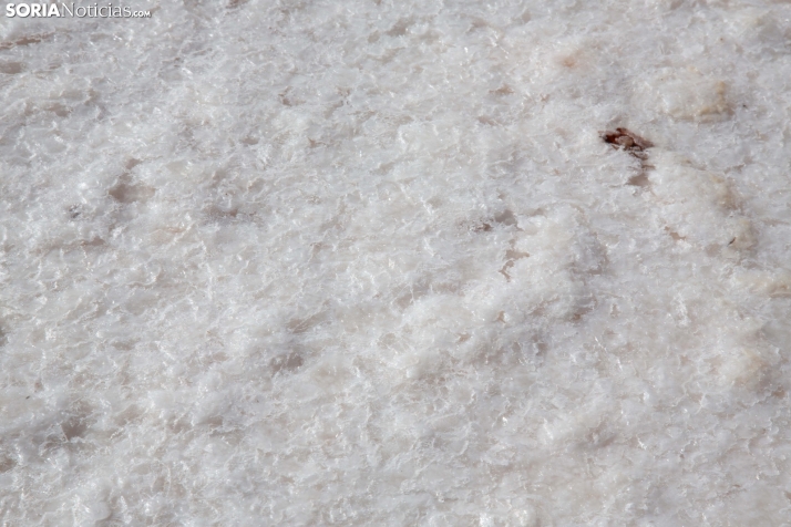 Jornada de la Sal en Salinas de Medinaceli 2025