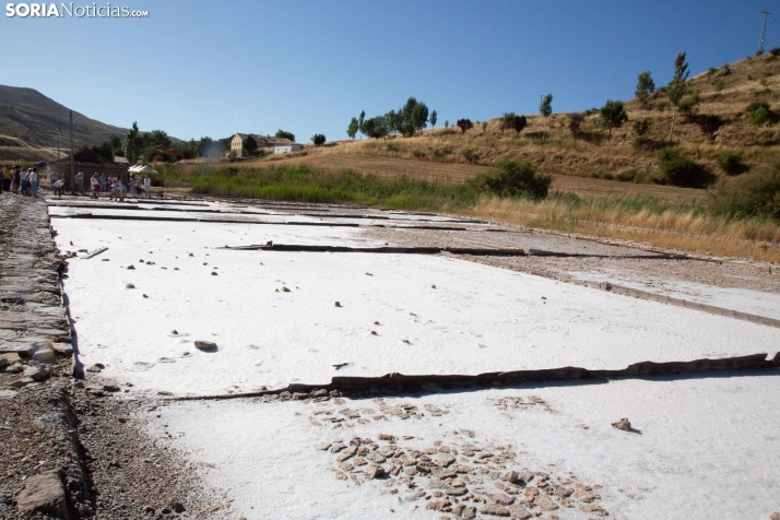 Jornada de la Sal en Salinas de Medinaceli 2025