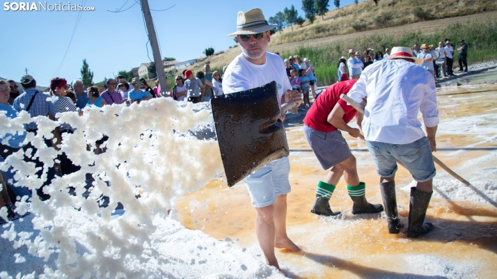 Jornada de la Sal en Salinas de Medinaceli 2025