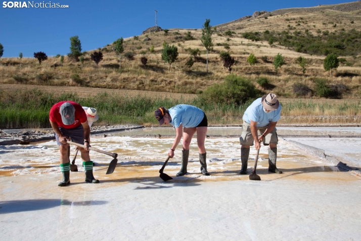 Jornada de la Sal en Salinas de Medinaceli 2025