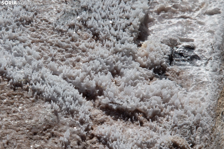 Jornada de la Sal en Salinas de Medinaceli 2025