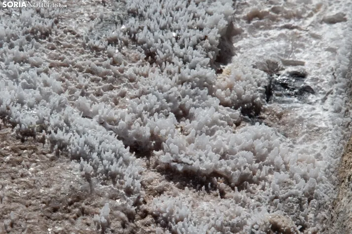 Jornada de la Sal en Salinas de Medinaceli 2025
