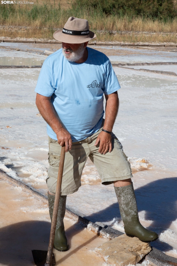 Jornada de la Sal en Salinas de Medinaceli 2025