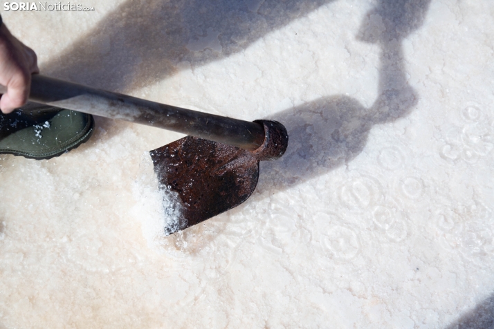 Jornada de la Sal en Salinas de Medinaceli 2025