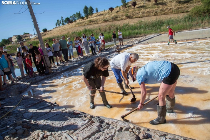Jornada de la Sal en Salinas de Medinaceli 2025