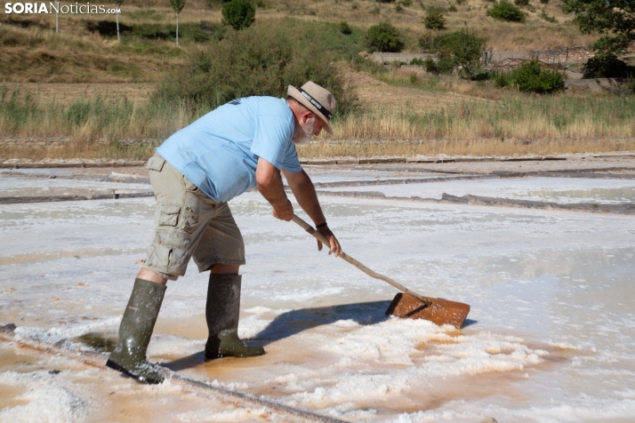 Jornada de la Sal en Salinas de Medinaceli 2025